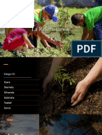 La Reforestacion