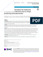 Carbapenem Alternatives For Treatment of Bloodstream Infections Due To AmpC Producing Enterobacterales