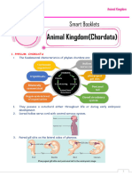 Animal Kingdom (Chordata)