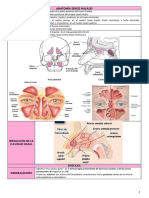 Epistaxis