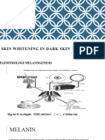 Skin Whitening in Dark Skin: Irma Bernadette S. Sitohang Fkui-Rscm