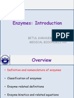 Enzymes Introduction 241023 Betul Yilmaz