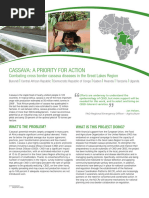 FAO Cassava Factsheet