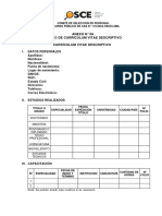 Anexo N 06 Modelo de Curriculum Vitae Descriptivo