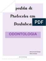 Resumo Protocolos em Dentistica