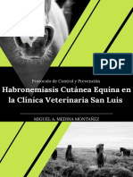 Manual Control y Prevención Habronemosis Cutánea Equina