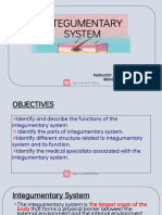 Integumentary System