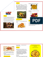 Ollucotriptico PDF