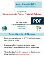 Lec 16 (Ch. 12) Gluconeogenesis