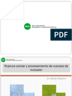 Tema 5 - Ruptura Celular
