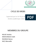 Cycle de Krebs