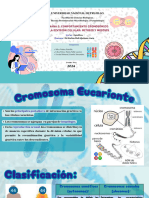 Semana 2 Comportamiento Cromosomico