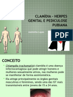 TRABALHO DE CIENCIAS CLAMÍDIA - Herpes Genital e Pediculose Pubiana