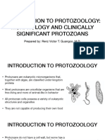 05 - Introduction To Protozoology, Protozoan Characteristics, Structures, and Clinically Important Protozoans