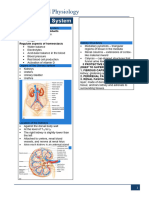 The Urinary System