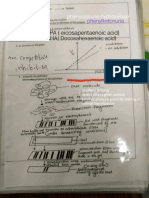 Biochem Chart