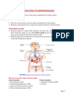 MRGR Endocrine System Ysh17