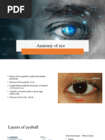 Anatomy of Eye