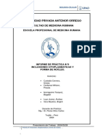 Semana - 9 - Practica - 9 - Informe - Práctica - Células - Sanguíneas - e - Inclusiones - Citoplasmaticas NEW