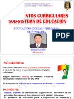 4.3. R.M. 1040 2022 Lineamientos SER IPS