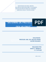 Sistemas de Protección Oea Vs Onu