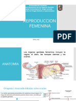 Aparato Reproductor Femenino