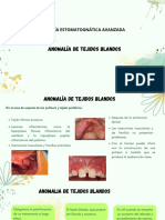 Cirugia Anomalias de Tejidos Blandos