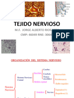 5 Tejido Nervioso para Bromatologia