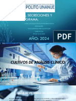 Cultivo J Secreciones y Antibiograma. Grupo N°8