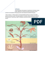 BIO 102 Animal Kingdom Classification 