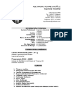 CV Ing. Alejandro Flores Muñoz