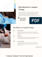 Animal Testing