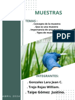 Muestras Investigacións