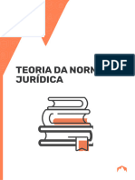 Teoria Da Norma Jurídica