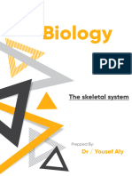 The Skeletal System