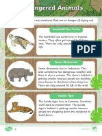 Endangered Animals Differentiated Reading Comprehension Activity - Ver - 2