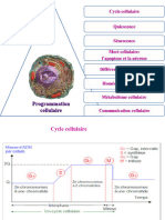 Cours BC FSDM P II