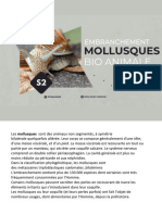 Chap VII MOLLUSQUES