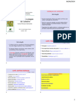 Aula Café 5 - Doenças e Pragas Do Cafeeiro
