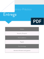 Sensación y Percepción Entrega 4 Trabajo Grupo