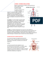 Sistemas Del Cuerpo Humano 2024