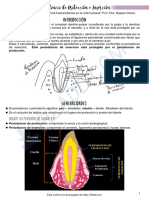 14 Periodoncio de Proteccion e Insercion