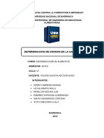 Informe Hongos en Alimentos