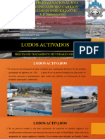 Lodos Activados