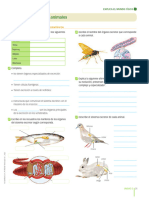 Actividad 08 - La Excreción en Los Animales
