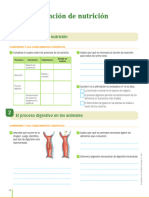 Actividad 01 y 02 - Procesos de Nutrición y Digestivos