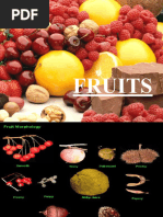 Fruits