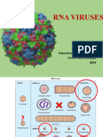 2020 - L16A Medical Virology (RNA Viruses) - Rev