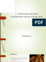 L'anatomie Premier Fondement de La Médecine