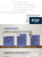 Amebiasis Intestinal